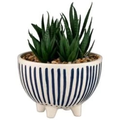 B&M Scandi Shore Stripe Succulent