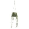 B&M Hanging Foliage In Green Ceramic Pot