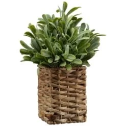B&M Foliage In Seagrass Pot