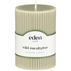 B&M Wild Eucalyptus Scented Candle